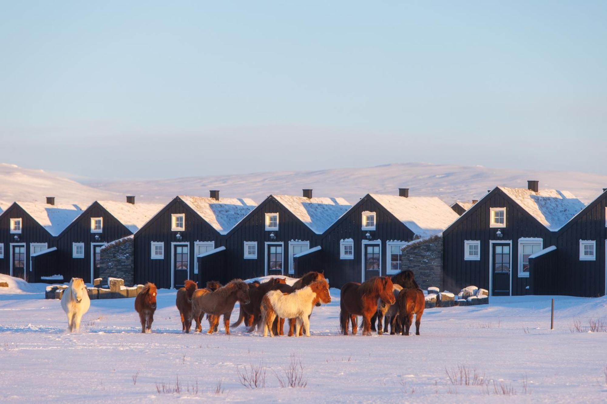 Torfhus Retreat Selfoss Exterior foto